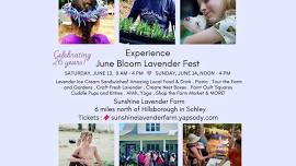 June Bloom Lavender Festival