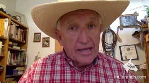 Beta Britchen for Training Mules to Ride