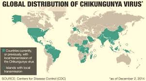 Cdc, the world health organization, and the european cdc have jointly reviewed the scientific literature. Zika Dengue Chikungunya Osir Reisemedizin