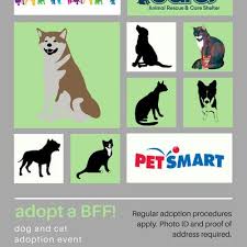 Shop petco's selection of cat containment systems. Barcs Events