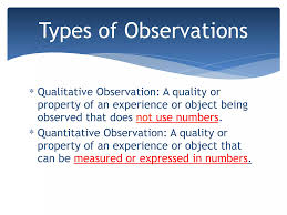 Observation & Inference: Notes | PDF