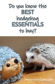 A Hedgehog Checklist Must Have Essentials Hedgehog Pet Hedgehog Care Hedgehog Cage