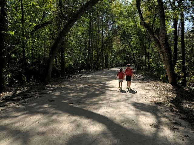 Florida by Land: Hike a Loop Trail -- National Geographic | National  Geographic