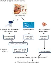 Detecting cervical cancer early with a pap smear gives you a greater chance at a cure. Evaluation Of The Potential Of Pap Test Fluid And Cervical Swabs To Serve As Clinical Diagnostic Biospecimens For The Detection Of Ovarian Cancer By Mass Spectrometry Based Proteomics Clinical Proteomics Full