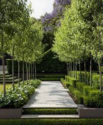 C H E L L On Instagram Anyone Else Watching Netflix Themontydon French Gardens I Can T Get Enough As Formal Garden Design Australian Garden French Garden
