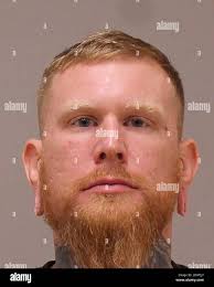 Michigan militia hi-res stock photography and images