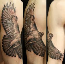Bird Of Prey Tattoo Bird Of Prey Tattoo Bird Of Prey Tattoo Tattoos I Tattoo