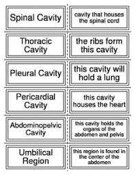 Start with either the prefixes, suffixes or root words. 18 Certified Medical Assistant Exam Ideas In 2021 Certified Medical Assistant Medical Medical Assistant