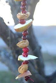 Bird Feeder Winter Bird Feeders Bird Feeders Bird Feeder Craft