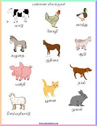 Pin By Ashley Ruleman On Preschool Farm Animals For Kids Farm Animals Preschool Animal Activities For Kids
