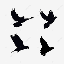 Selanjutnya adalah bentuk leher yang tidak terlalu panjang. Gambar Siluet Merpati Yang Dilukis Dengan Tangan Hitam Merpati Siluet Hitam Png Dan Psd Untuk Muat Turun Percuma