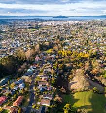Election 2020 Rotorua And Waiariki Electorate Results Nz Herald