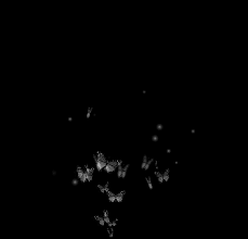 Fighter Book 3 Butterfly Gif Aesthetic Gif Gif Background