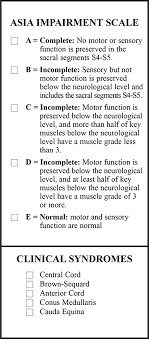 Spinal Cord Injury Levels Classification