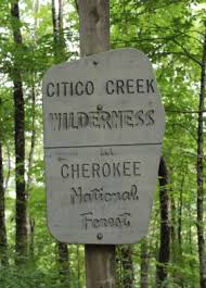 We did not find results for: A Day In Cherokee National Forest