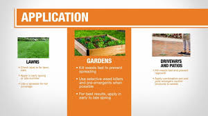The full disclosure statement is here. Best Weed Killer For Your Yard The Home Depot
