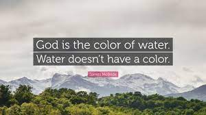 She believes that god loves all races equally. James Mcbride Quote God Is The Color Of Water Water Doesn T Have A Color