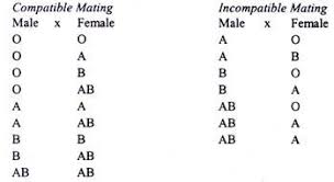 30 Unexpected Blood Group Chart Match For Marriage