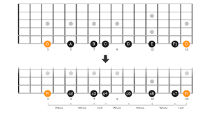 The whole tone scale is a symmetrical scale formed by a succession of whole tone intervals. Major Scale Patterns Positions And Theory