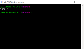 Running Php Works In Command Prompt But Not Git Bash Super User