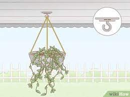We did not find results for: Easy Ways To Hang Plants Without Holes 8 Steps With Pictures