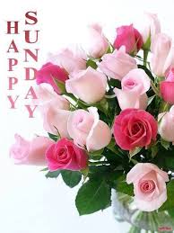 Sunday Flowers Happy Sunday Flowers Happy Sunday Morning Good Morning Happy Sunday