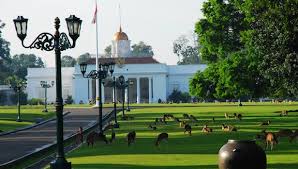 Lampu jalan tenaga surya adalah lampu jalan yang dapat menyala dan memancarkan cahaya penerangan yang mandiri dengan cara memanfatkan cahaya matahari sebagai sumber energinya mengubah tenaga surya menjadi energi listrik dan menyimpan. English Today Bogor English Today