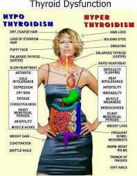 Symptoms Of An Under Active And Over Active Thyroid Thyroid Health Health Tips