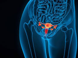 Wie lange diese anhält, entscheidet der zuständige arzt, je nach ablauf und umständen. Lvz Medizinserie Ausschabung Gynakologische Op Fast Immer Ambulant Moglich Lvz Leipziger Volkszeitung