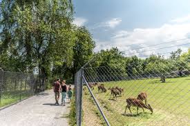 Parkhäuser, bauplanung, cityparking, gedeckte parkplätze. 10 Ideen In St Gallen Rorschach St Gallen Bodensee Tourismus