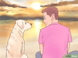 Read our full list here. 3 Ways To Know If Your Dog Likes You The Best Wikihow