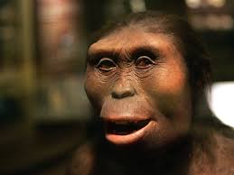 Who is Lucy the Australopithecus: How related are you to the 3.2  million-year-old hominid?