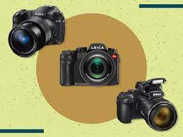 Best Bridge Camera 2021 For Wildlife Birding And Portraits The Independent