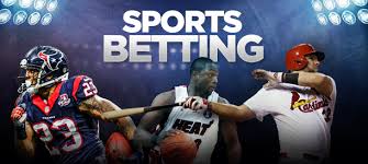 The best sports betting books are data driven, statistically honest, and offer ways to take action. Top 5 Sports Betting Books Bettingshaman