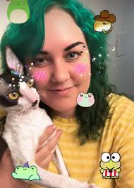 Find 3 hidden Cats among penguins