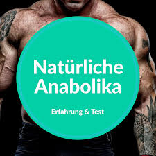 La liste complète des meilleurs comprimés stéroïdes de mr pharma et valkyrie est ici. Naturliche Anabolika 5 Pflanzliche Steroide Die Es Bringen