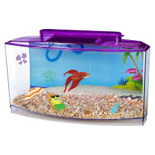 Spongebob Betta Bow 0 7 Gallon Tank Aquarium Kit From Penn Plax Betta Tank Betta Fish Tank Betta Aquarium