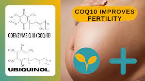 How much coq10 should i take for fertility. What Is The Difference Between Coq10 And Ubiquinol