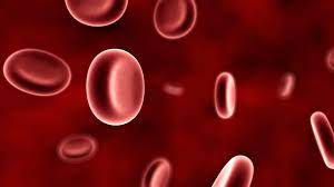 These people are thalassemia carriers. Talassemia Cos E Sintomi Cure Differenti Tipi Ed Alimentazione Medicina Online