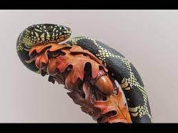 Eastern King Snake Carved White Oak Leaves Provide A Colorful Bed For This Carved Eastern King Snake On This Walking Stic Walking Sticks Carving Dremel Carving
