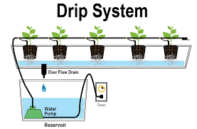 Sistem pemungutan pajak sendiri merupakan sebuah mekanisme yang digunakan untuk menghitung besarnya pajak yang harus dibayar wajib pajak ke negara. Tanaman Hidroponik Sistem Titisan Drip System Atau Juga Disebut Dengan Sistem Fertigasi Merupakan Teknik Pengairan Yang Dilakukan Secara Perlahan Iaitu Dengan Menitiskan Larutan Nutrien Kepada Media Atau Terus Pada Akar Tanaman