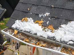 Arthur LeRoy Raber, Janesville (1934