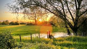 Inkyminkee porn pics