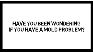 Are free mold inspections and samples really free? Los Angeles Ca Mold Removal Remediation Company Mold Inspection Team