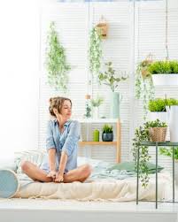 Und im badezimmer zwischen 50 und 70 prozent. Pflanzen Im Schlafzimmer Diese Arten Verbessern Ihren Schlaf