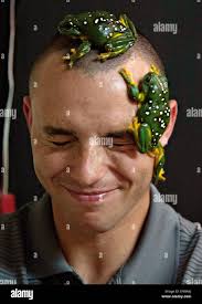 Army of frogs hi-res stock photography and images