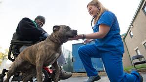 About us the riordan pet hospital. Wilmington Offers Free Health Care To Pets Their Humans