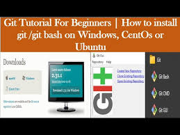 Other git for windows downloads git for windows setup. Git Tutorial For Beginners 2021 Part 2 Git Installation On Linux Windows Youtube