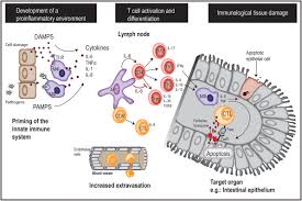 Upadacitinib of een farmaceutisch aanvaardbaar zout daarvan; Frontiers Interleukin 6 In Allogeneic Stem Cell Transplantation Its Possible Importance For Immunoregulation And As A Therapeutic Target Immunology