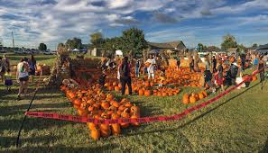 Campbell Crossing Receives 2017 National Night Out Award Fort Campbell Campbell Night